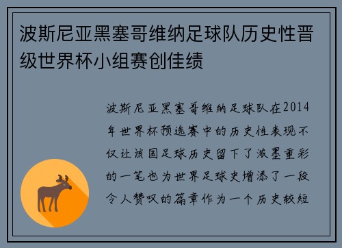 波斯尼亚黑塞哥维纳足球队历史性晋级世界杯小组赛创佳绩