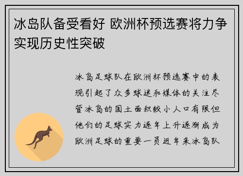 冰岛队备受看好 欧洲杯预选赛将力争实现历史性突破