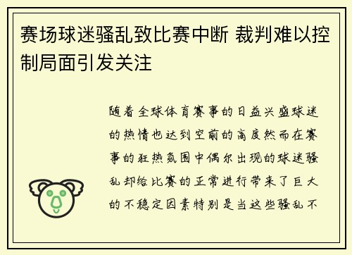 赛场球迷骚乱致比赛中断 裁判难以控制局面引发关注